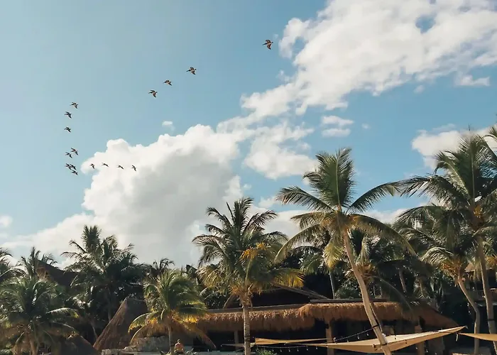 Delek Tulum