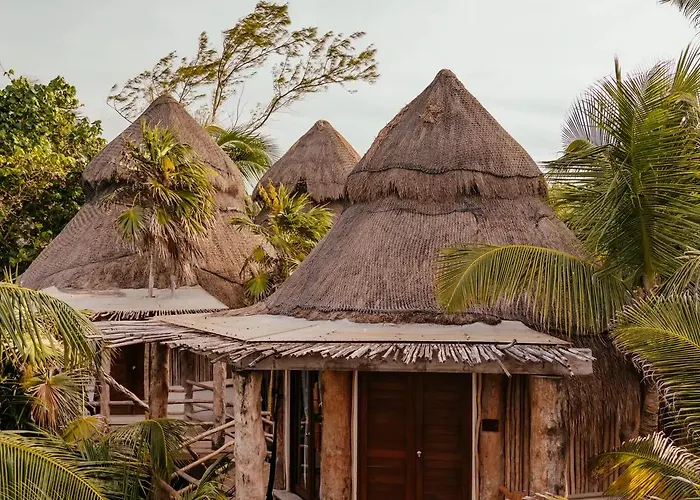 Delek Tulum